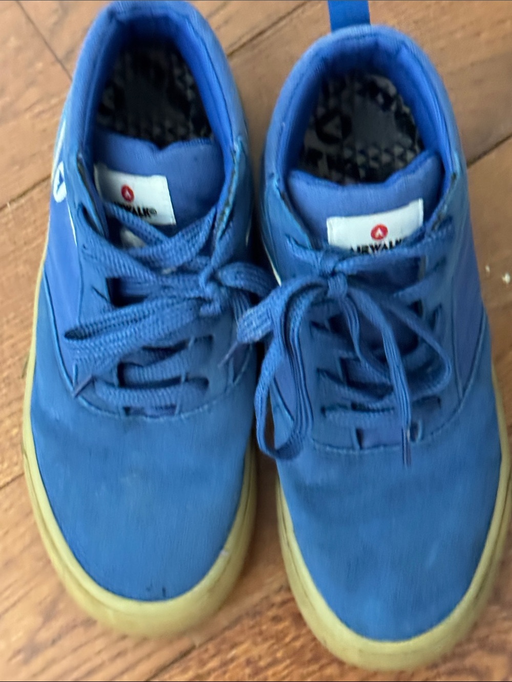 Airwalk Royal Blue Canvas Sneakers with Gum Sole